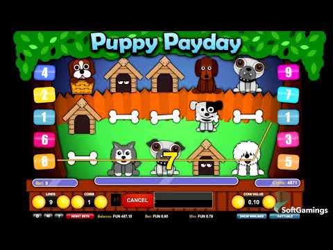 Puppy Payday - 62767