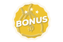 Villkor för bonusar - 29953