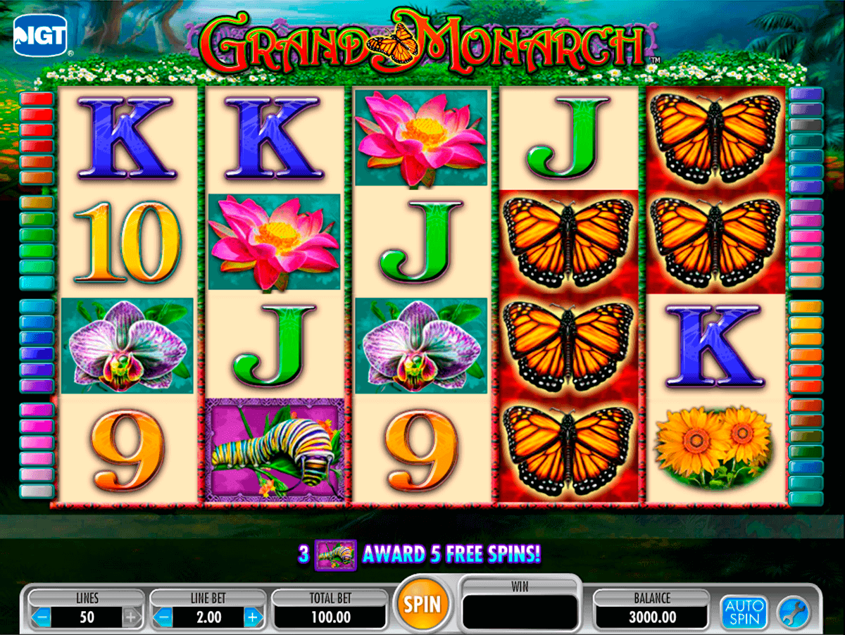 Free spins today - 80516