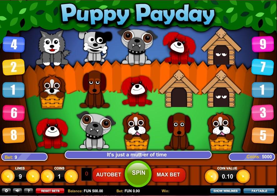 Puppy Payday - 71379