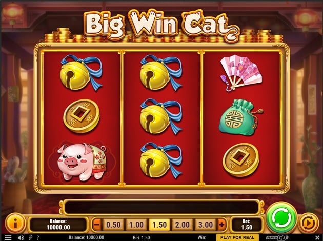 Big Win Cat - 82710