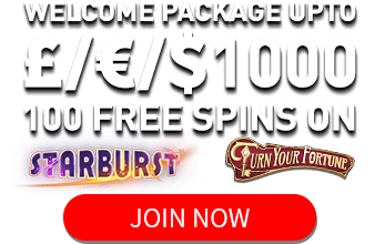 Live casino - 91063